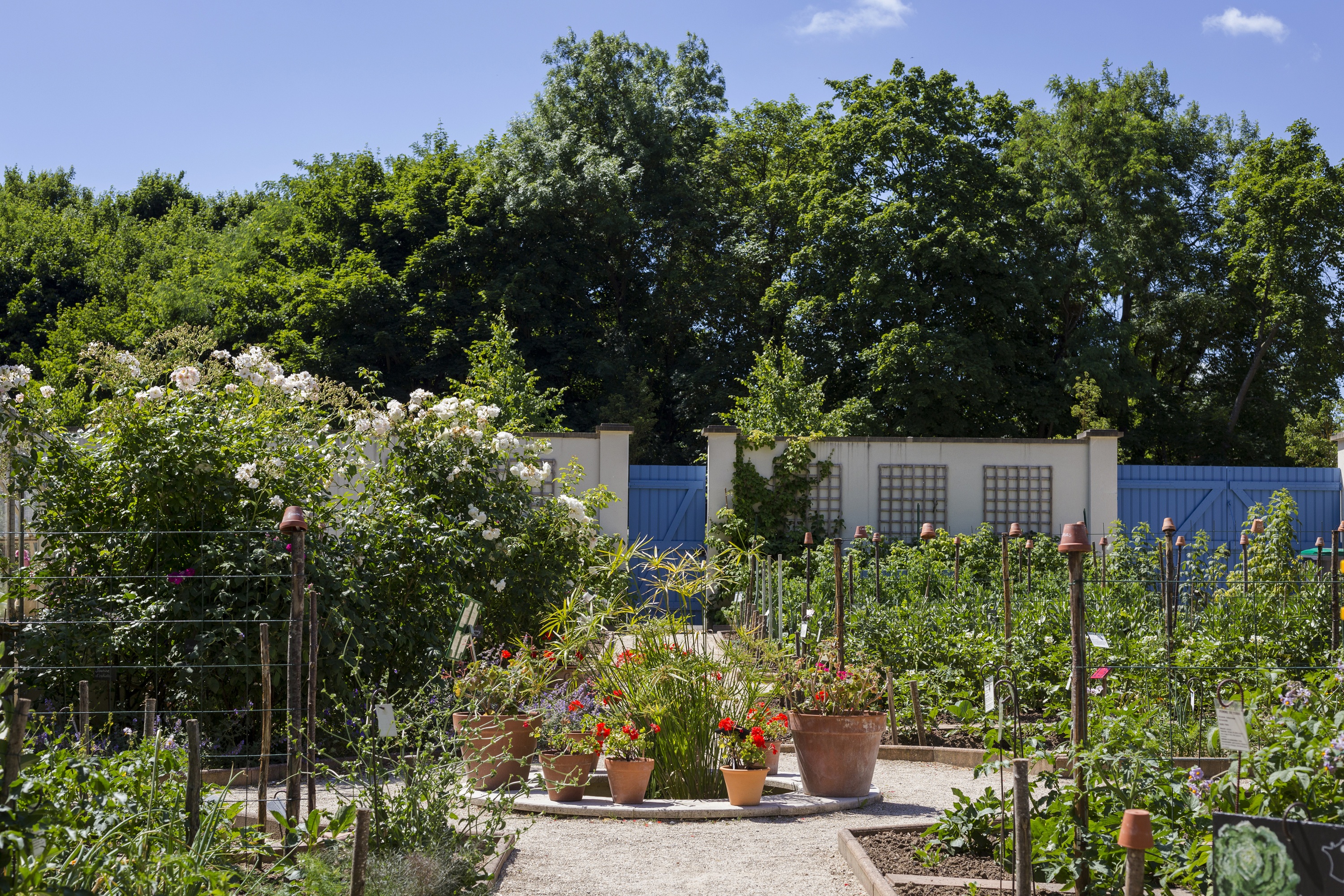 Le parc et le potager
