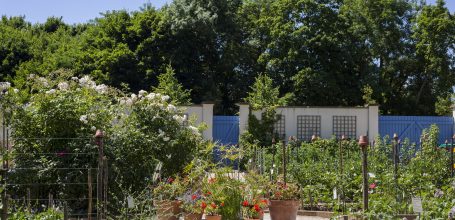 Le parc et le potager